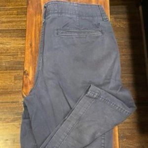 Mens Shorts: American Eagle LongBoard navy blue short